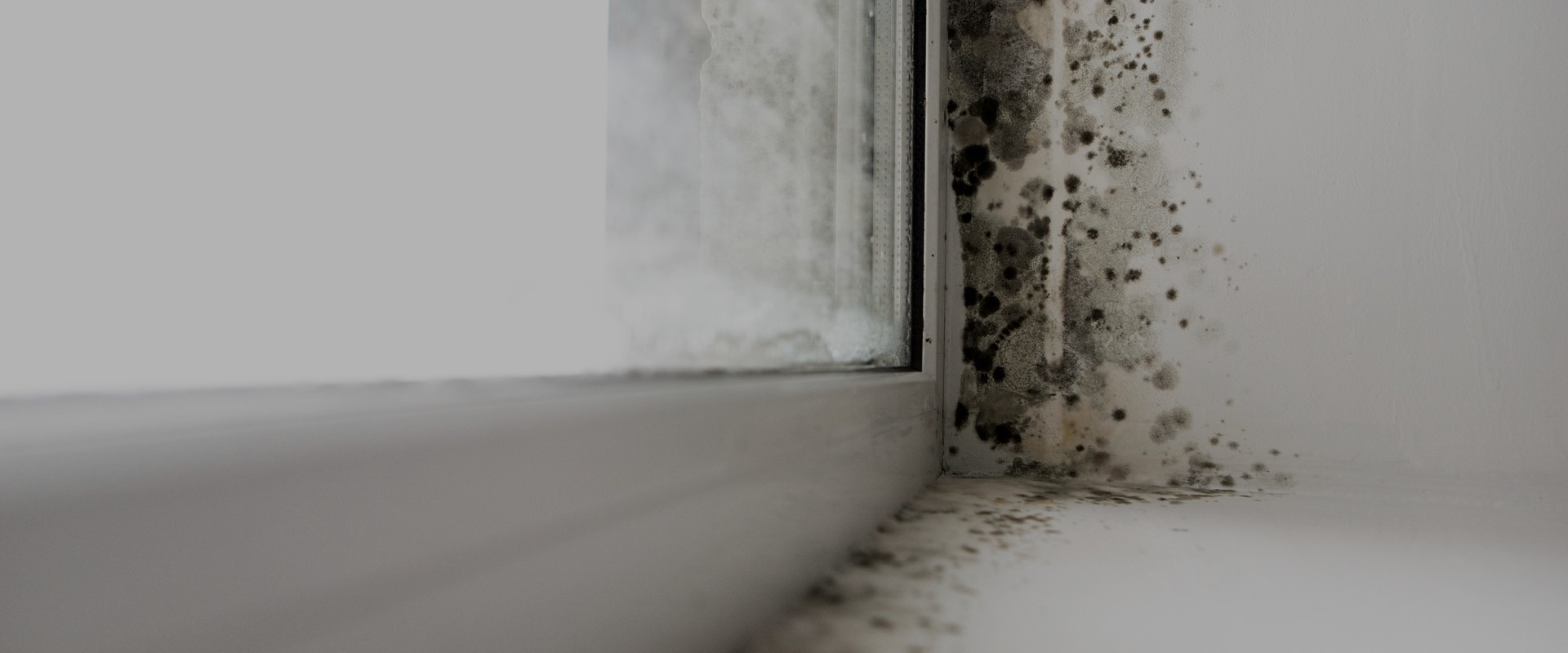 Blackburn’s Condensation Control Experts At Your Service